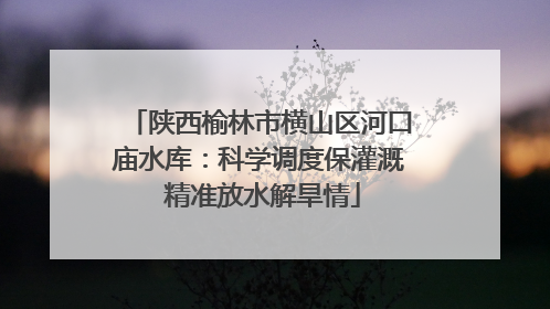 陕西榆林市横山区河口庙水库：科学调度保灌溉 精准放水解旱情