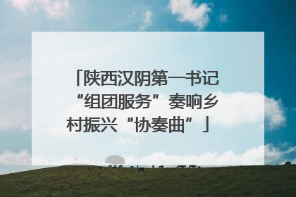 陕西汉阴第一书记“组团服务”奏响乡村振兴“协奏曲”