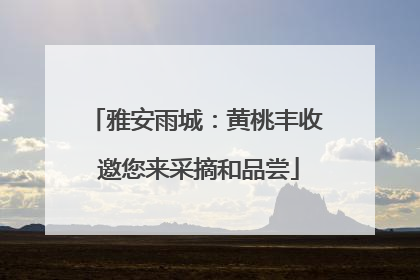雅安雨城：黄桃丰收 邀您来采摘和品尝