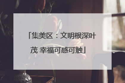 集美区：文明根深叶茂 幸福可感可触