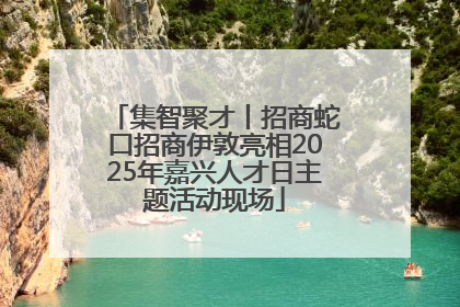 集智聚才丨招商蛇口招商伊敦亮相2025年嘉兴人才日主题活动现场