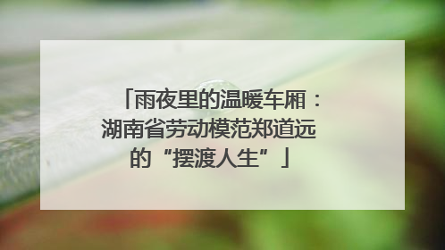 雨夜里的温暖车厢：湖南省劳动模范郑道远的“摆渡人生”