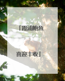 霞浦鲍鱼喜迎丰收