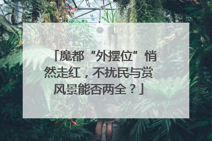 魔都“外摆位”悄然走红，不扰民与赏风景能否两全？
