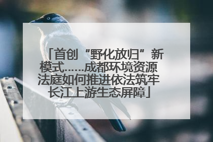 首创“野化放归”新模式……成都环境资源法庭如何推进依法筑牢长江上游生态屏障