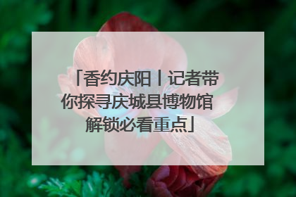 香约庆阳丨记者带你探寻庆城县博物馆 解锁必看重点