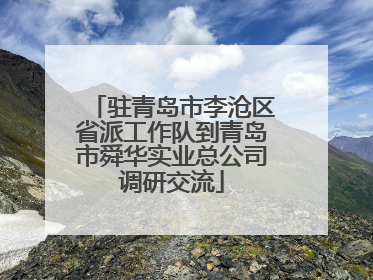 驻青岛市李沧区省派工作队到青岛市舜华实业总公司调研交流