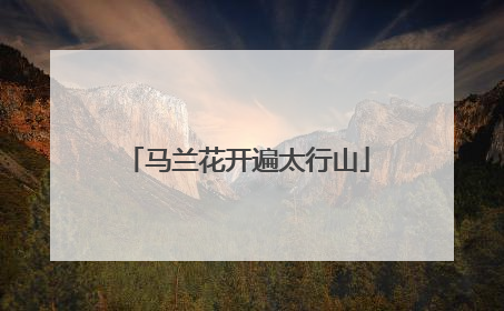 马兰花开遍太行山