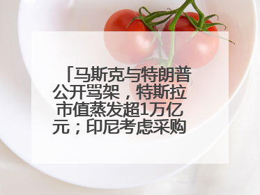 马斯克与特朗普公开骂架，特斯拉市值蒸发超1万亿元；印尼考虑采购歼-10战机；国足无缘世界杯丨每经早参