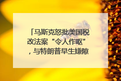 马斯克怒批美国税改法案“令人作呕”，与特朗普早生嫌隙？｜国际识局
