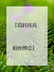 高科技亮相丝博会
