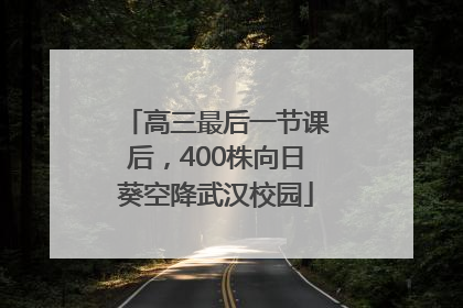 高三最后一节课后，400株向日葵空降武汉校园