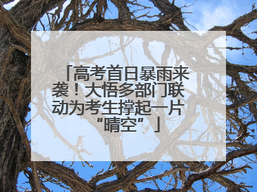 高考首日暴雨来袭！大悟多部门联动为考生撑起一片“晴空”
