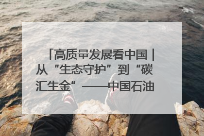 高质量发展看中国｜从“生态守护”到“碳汇生金”——中国石油大庆油田绿色蝶变