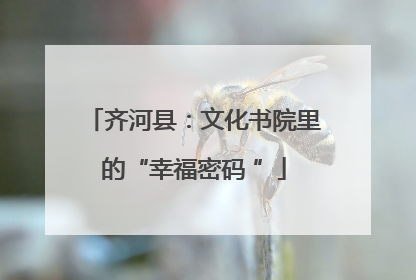 齐河县：文化书院里的“幸福密码 ”