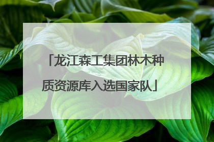 龙江森工集团林木种质资源库入选国家队