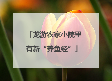 龙游农家小院里有新“养鱼经”