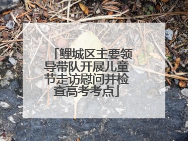 鲤城区主要领导带队开展儿童节走访慰问并检查高考考点