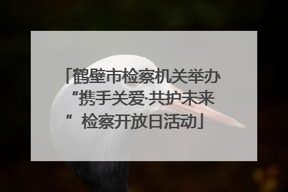 鹤壁市检察机关举办“携手关爱·共护未来”检察开放日活动