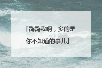 鹮鹮我啊，多的是你不知道的事儿