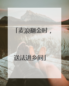 麦浪翻金时，送法进乡间