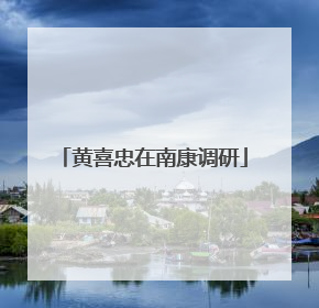 黄喜忠在南康调研