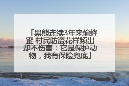 黑熊连续3年来偷蜂蜜 村民防盗花样频出却不伤害：它是保护动物，我有保险兜底
