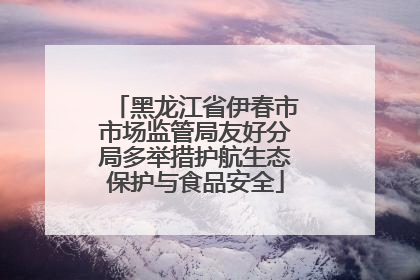 黑龙江省伊春市市场监管局友好分局多举措护航生态保护与食品安全