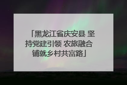 黑龙江省庆安县 坚持党建引领 农旅融合铺就乡村共富路