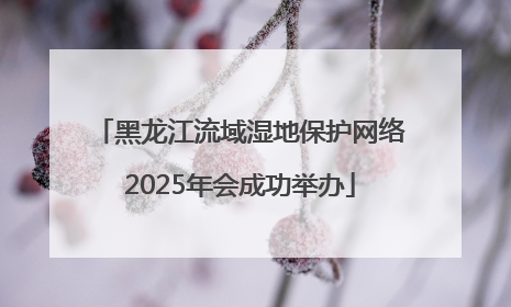 黑龙江流域湿地保护网络2025年会成功举办