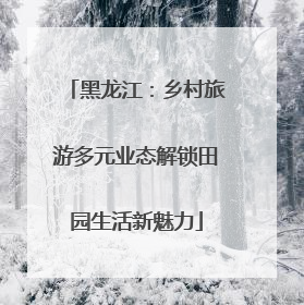 黑龙江：乡村旅游多元业态解锁田园生活新魅力