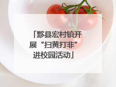 黟县宏村镇开展“扫黄打非”进校园活动