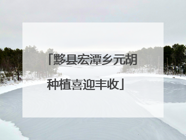 黟县宏潭乡元胡种植喜迎丰收
