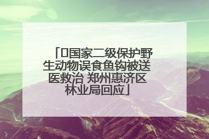 ﻿国家二级保护野生动物误食鱼钩被送医救治 郑州惠济区林业局回应