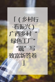 （乡村行·看振兴）广西乡村“绿色工厂” “蔬”写致富新答卷