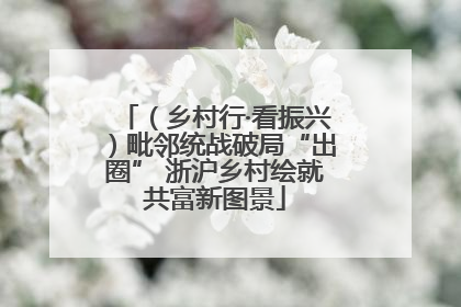 （乡村行·看振兴）毗邻统战破局“出圈” 浙沪乡村绘就共富新图景