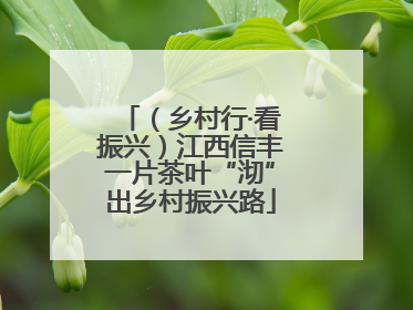 （乡村行·看振兴）江西信丰一片茶叶“沏”出乡村振兴路