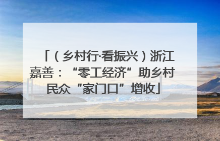 （乡村行·看振兴）浙江嘉善：“零工经济”助乡村民众“家门口”增收