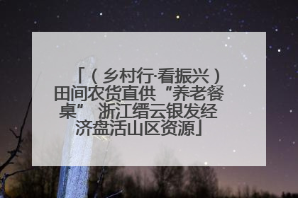 （乡村行·看振兴）田间农货直供“养老餐桌” 浙江缙云银发经济盘活山区资源