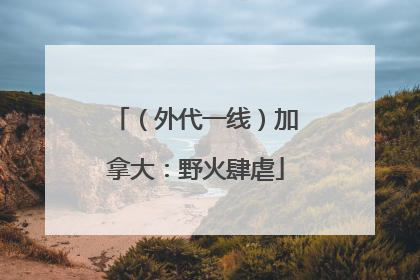 （外代一线）加拿大：野火肆虐