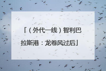 （外代一线）智利巴拉斯港：龙卷风过后