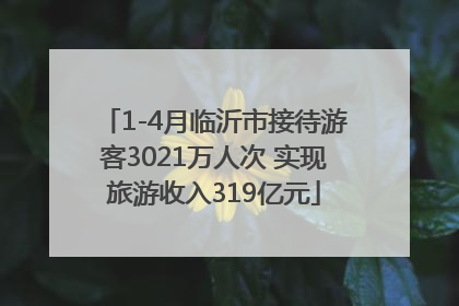 1-4月临沂市接待游客3021万人次 实现旅游收入319亿元