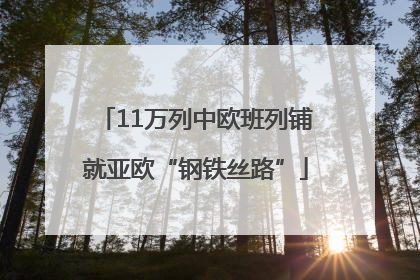 11万列中欧班列铺就亚欧“钢铁丝路”
