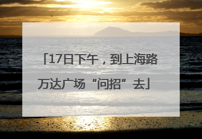 17日下午，到上海路万达广场“问招”去