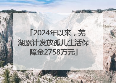 2024年以来，芜湖累计发放孤儿生活保障金2758万元
