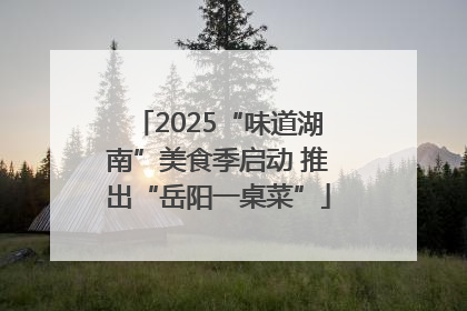 2025“味道湖南”美食季启动 推出“岳阳一桌菜”