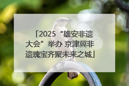 2025“雄安非遗大会”举办 京津冀非遗瑰宝齐聚未来之城