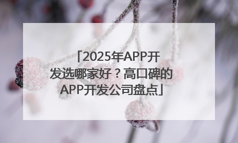 2025年APP开发选哪家好？高口碑的APP开发公司盘点