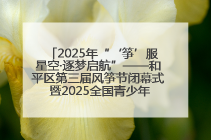 2025年“‘筝’服星空·逐梦启航”——和平区第三届风筝节闭幕式 暨2025全国青少年风筝制作放飞赛（沈阳站）颁奖仪式