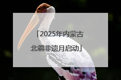 2025年内蒙古北疆非遗月启动